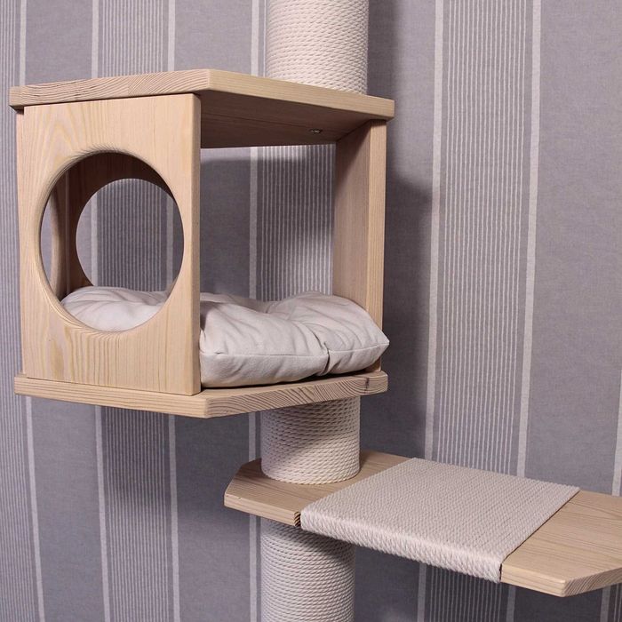 Котяче дерево з доміком