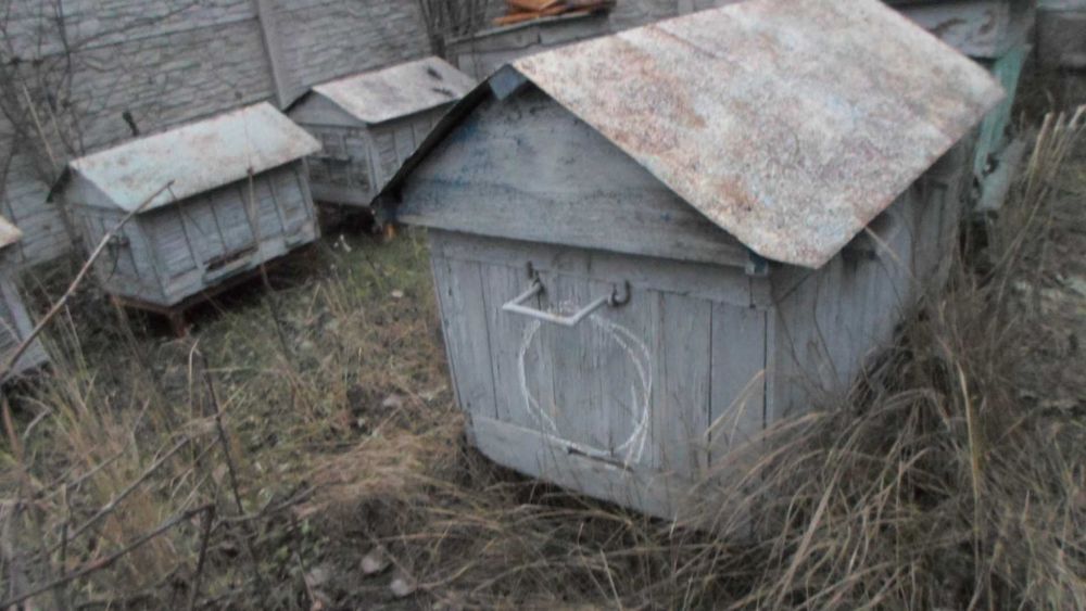 Собачья будка подороже и подешевле