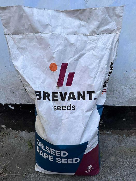 Рапс PR44D06 насіння озимого ріпаку