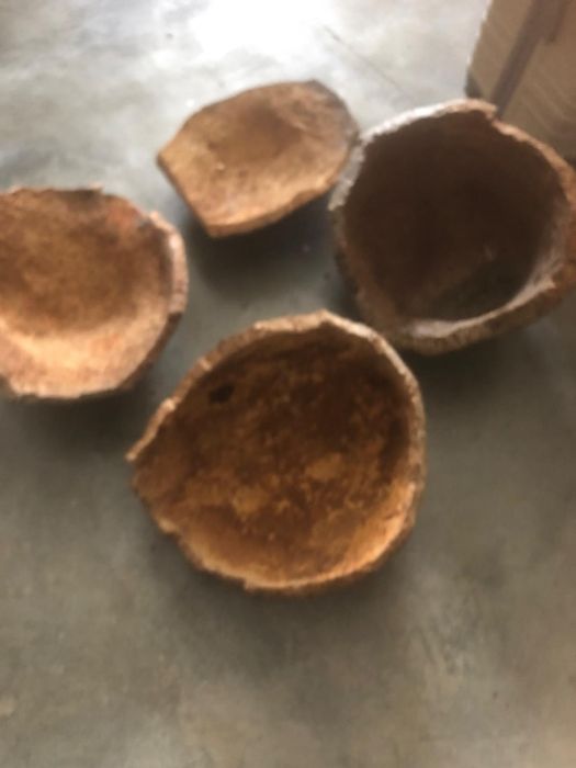 Cochos de Cortiça Fruteira de Cortiça