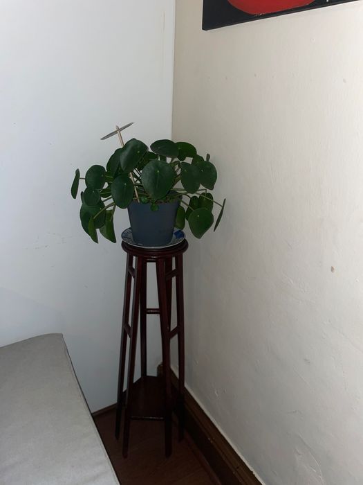 Suporte vasos em madeira restaurado