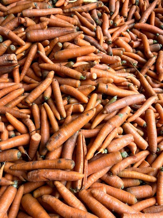 Marchew odpadowa-paszowa/Transport/Pakowane po 10 lub 20 kg