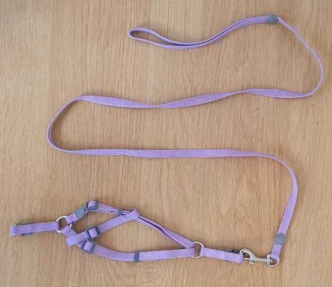 Coleira Retrátil p/ Cães 5m + Coleira de Corpo p/ Gatos – Ótimo Estado