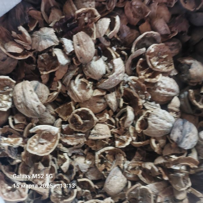 Продам скорлупу ореха с перегородками