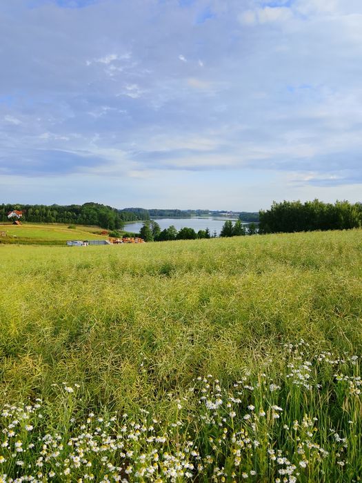 Sprzedam teren z linią brzegową jez. Wojnowo szlak WJM - Widok 3