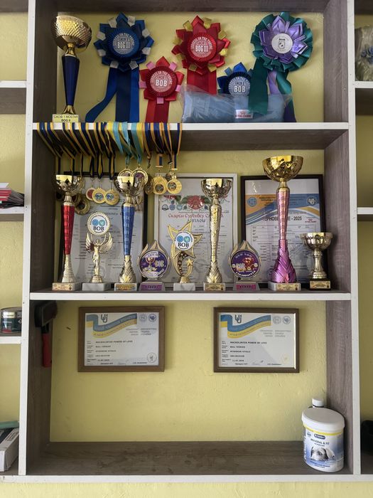 В’язка Bullterrier бультерьер бультер’єр