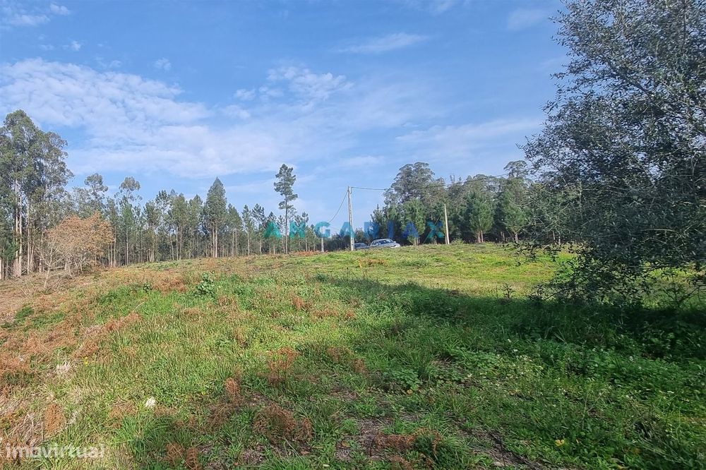 ANG1017 - Terreno de 4174m2 à Venda em Maceira, Leiria