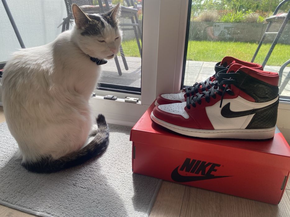 Jordan 1 satin snake