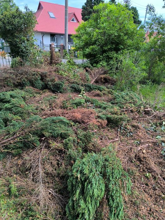 Prace ogrodowe/koszenie w dobrej cenie