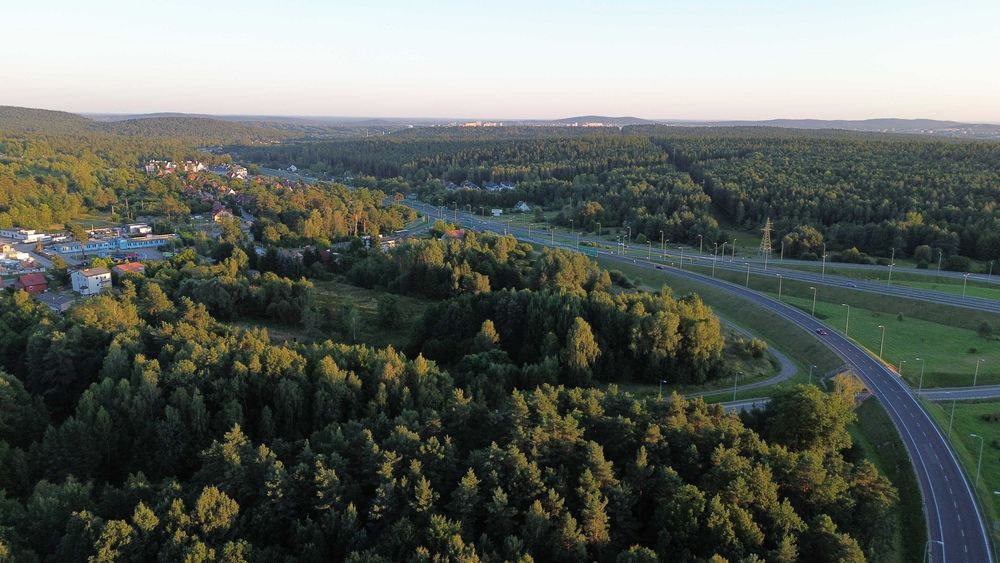 Działka leśna 772 m² Dąbrowa k. Kielc – blisko S7 / Węzła Kielce Północ - Widok 5