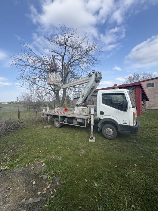 Podnośnik koszowy usługi wynajem