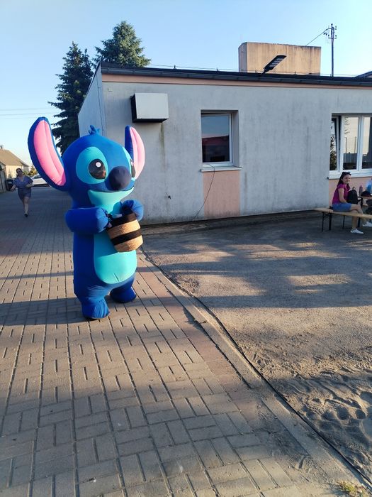Wynajem zamków dmuchanych