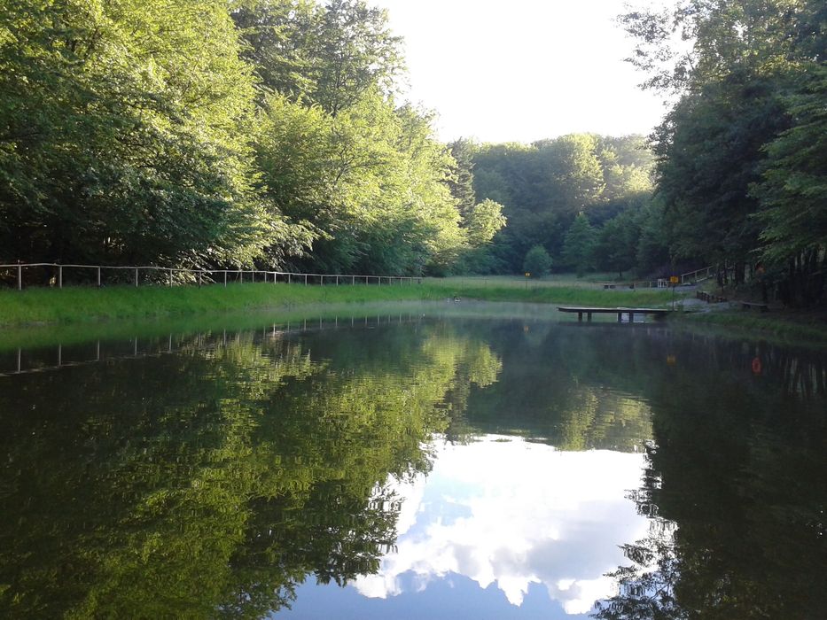 Kawalerski paniejski Leśniczówka domek stawy balia sauna w lesie