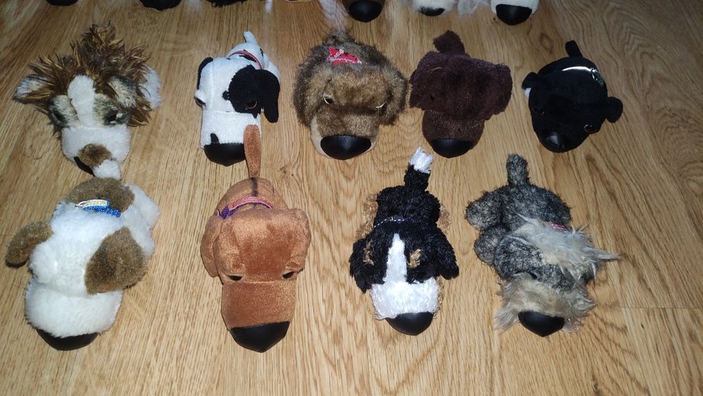 45 maskotek z serii the DOG + 6 z serii the CAT