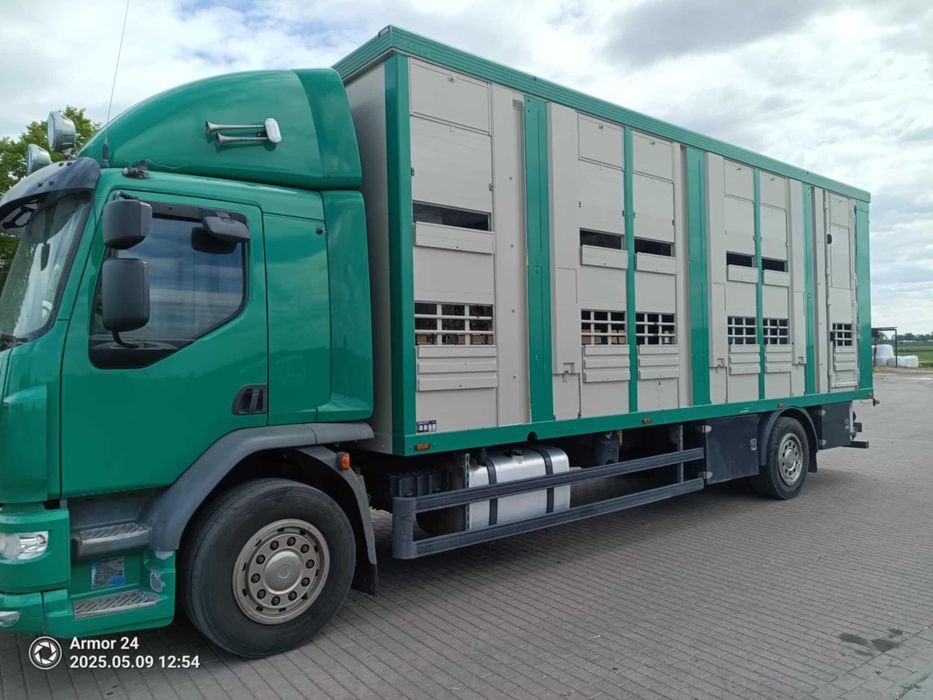 Daf do przewozu zwierząt