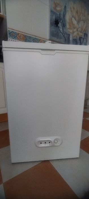 Arca congeladora 100l