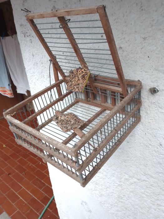 Alçapão Sensível e simples