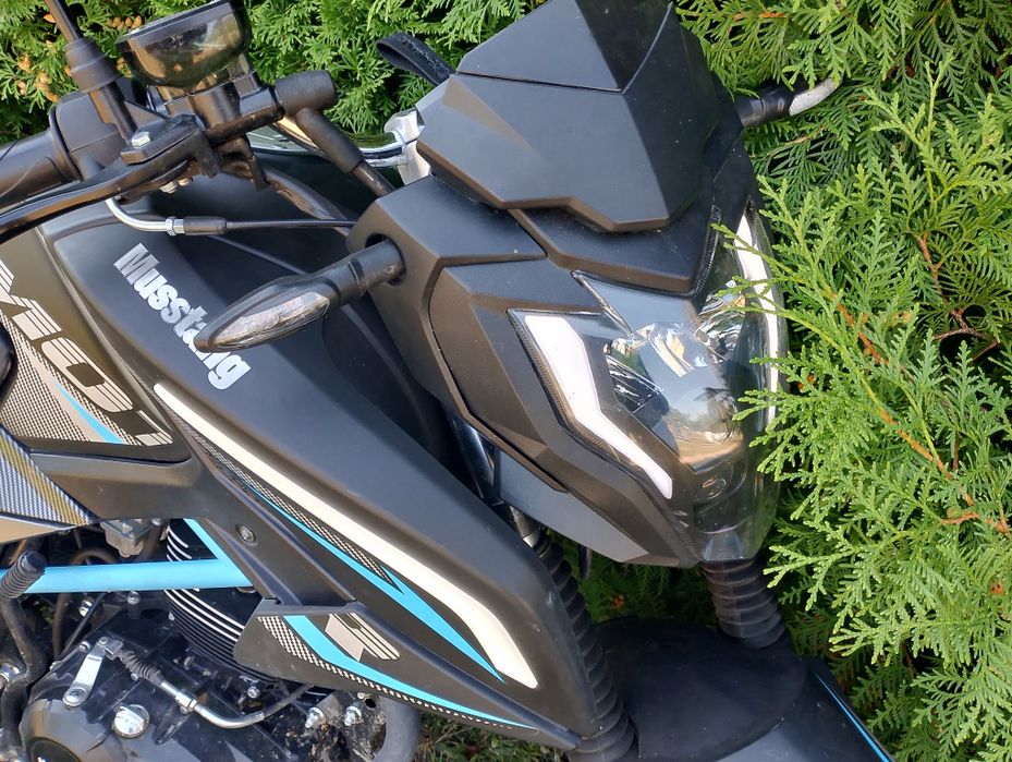 Мустанг регіон 200 мт-9