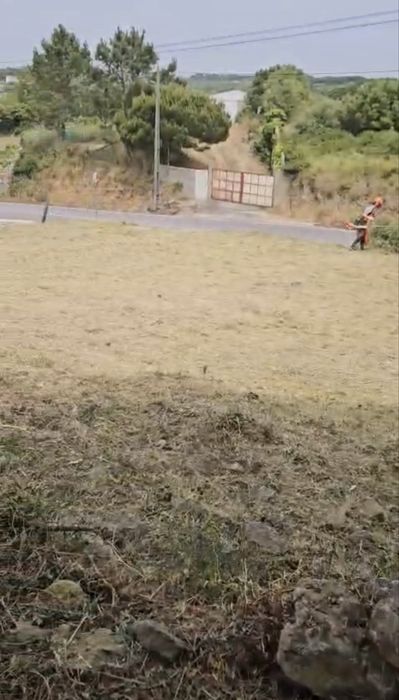 Limpeza e manutenção de jardins, piscinas e terrenos - melhor preço e qualidade