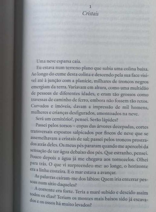 Despedidas Impossíveis - Han Kang