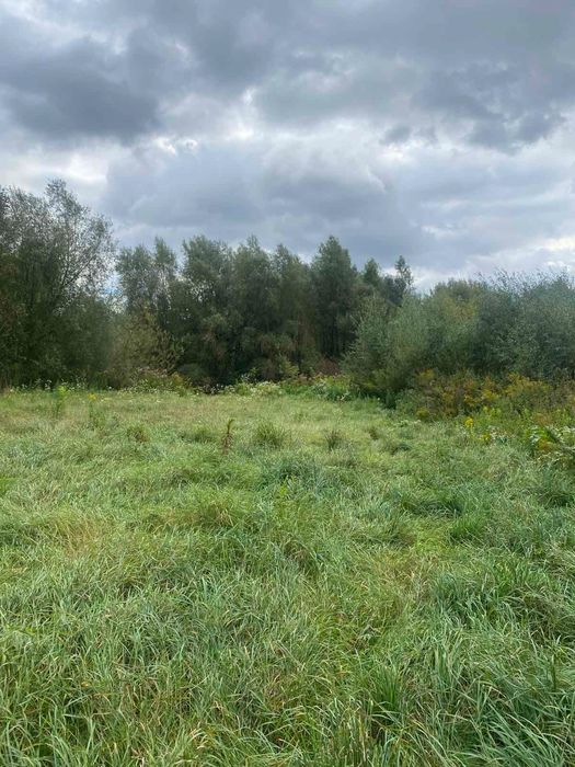 Продам землю в Колоденці 10.5 сот р поруч став