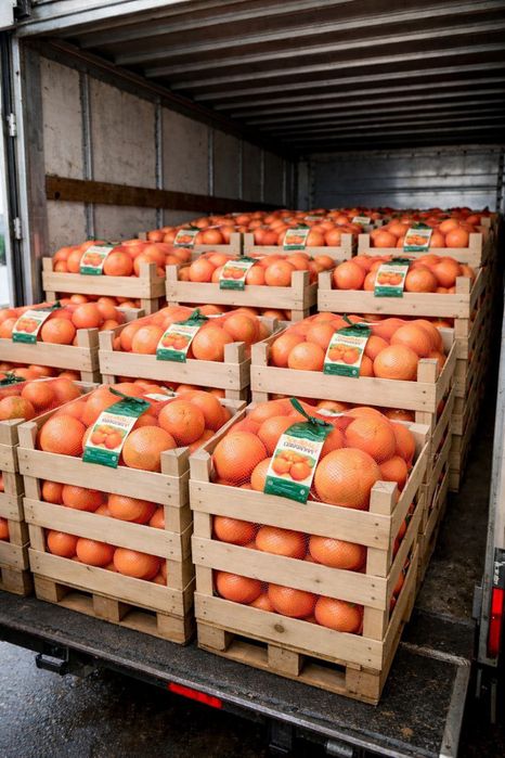 Продам фрукты оптом