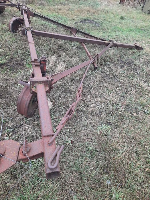 Продам котки гладкі 6 шт