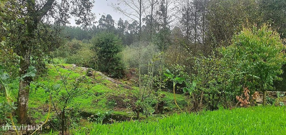 Terreno  para venda