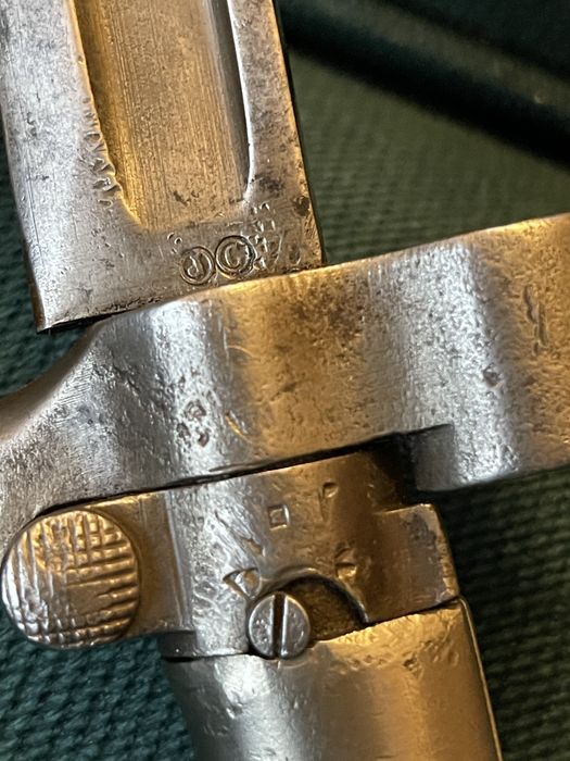 Bagnet francuski Lebel