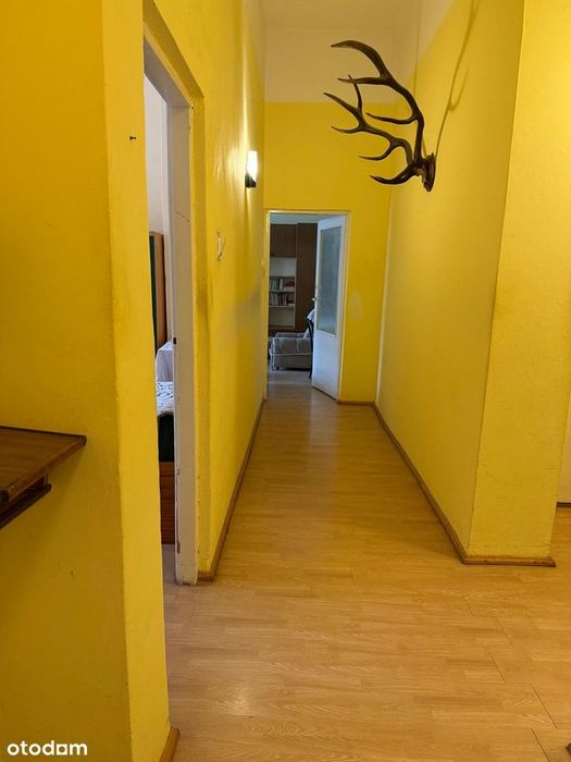 Piękny lokal Góraj-Zamek - perła Doliny Noteci