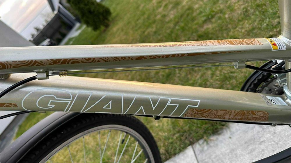 Rower Giant Revel