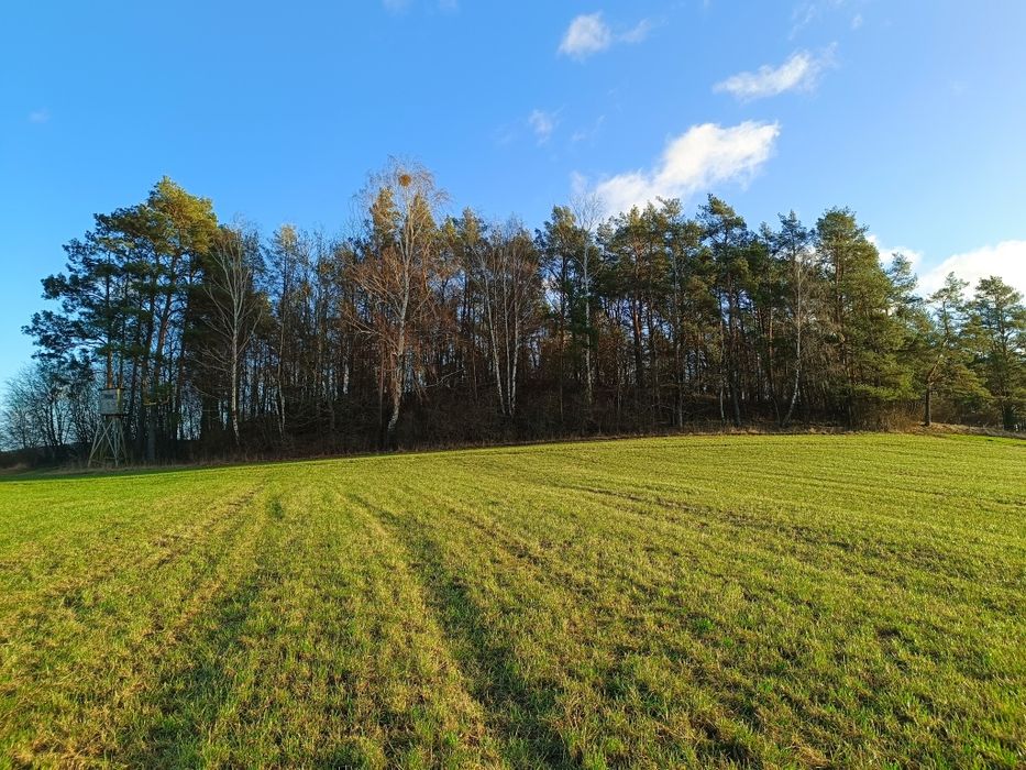 Ziemia rolna 12,55 ha - Więcej