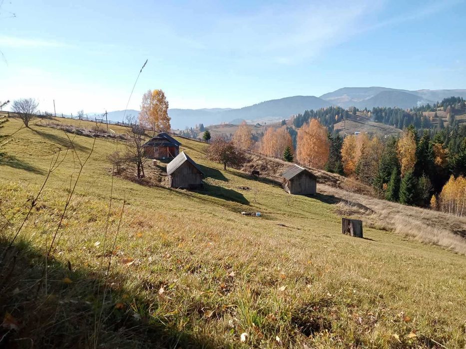 Продаж ділянки у Карпатах (Верховинський район)