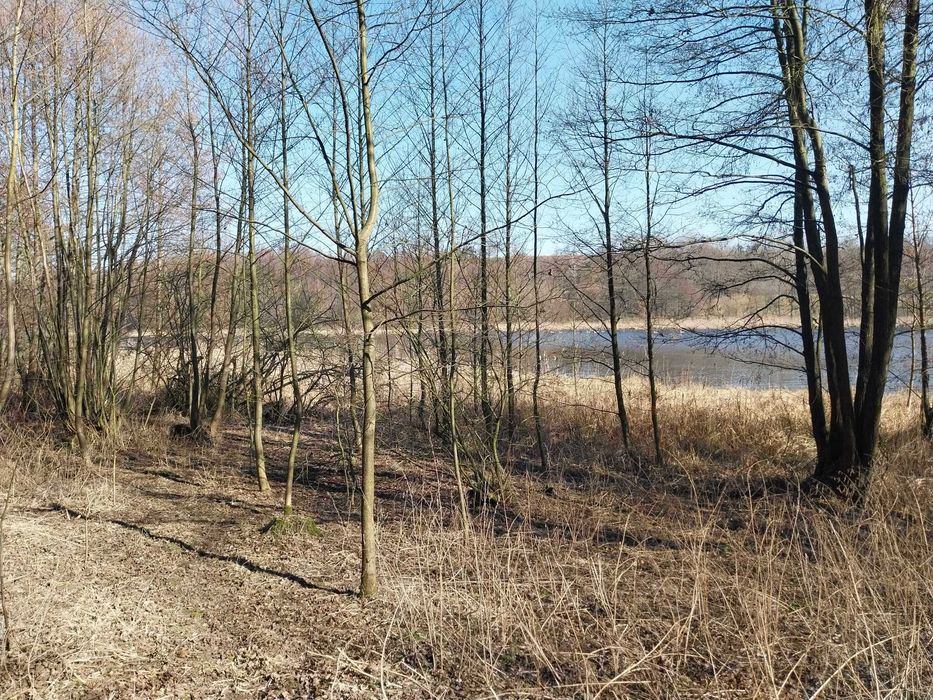 Działka budowlano-rekreacyjna 2900m2 nad jeziorem z linią brzegową