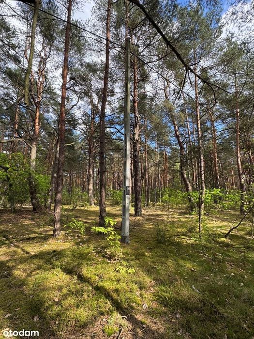 Sprzedam piękną działkę budowlaną Osiedle Wilga 2500 m2 BEZPOŚREDNIO