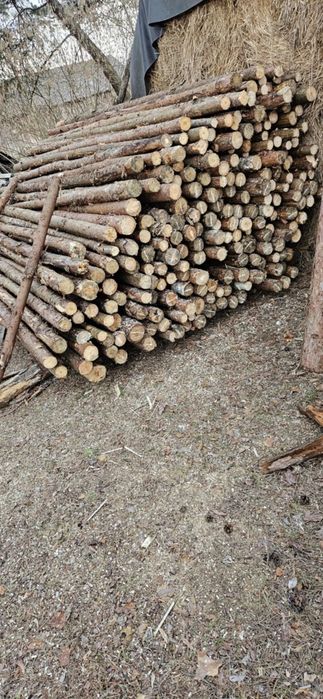 Stemple Budowlane TRANSPORT W CENIE