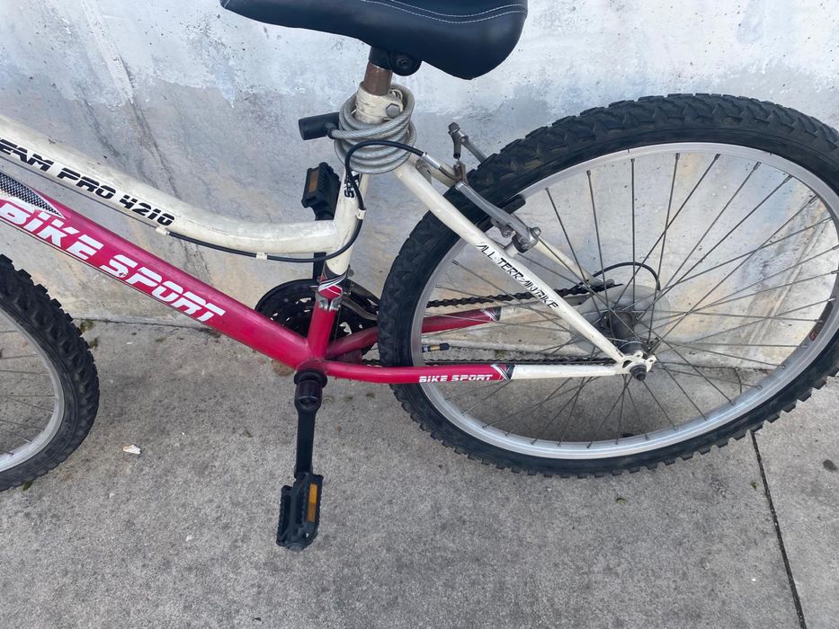 Vendo bicicleta Team Pro