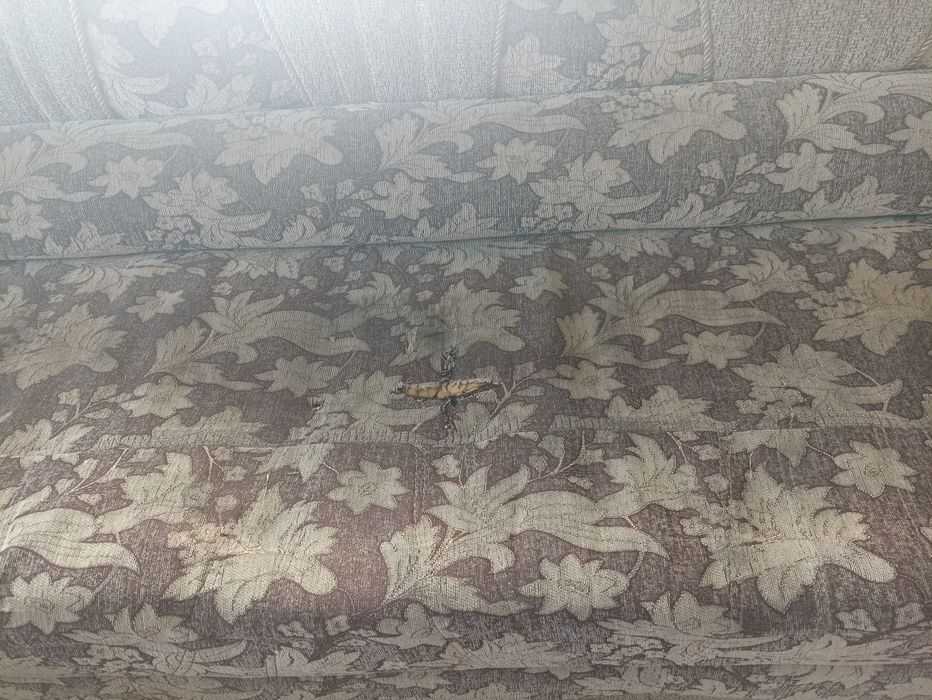 Диван бу під реставрацію