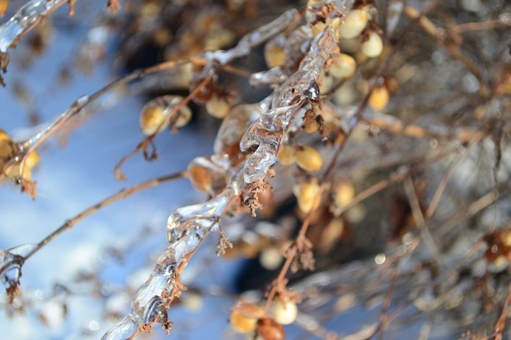 Продам фотоапарат Nikon d3100