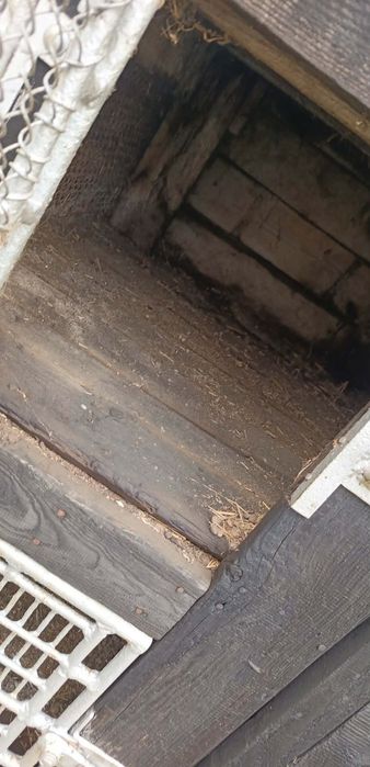 Solidna klatka na króliki