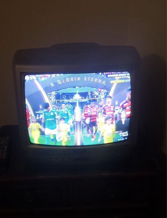 Televisão CRTda SEG , modelo S 3755TS - 14 polegadas aproximadas. A co