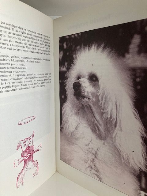 Szkolenie psów; Wychowuję mojego psa, Philippe De Wailly