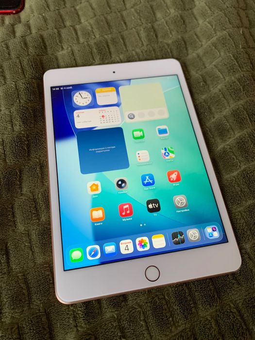 iPad Mini 5 256Gb