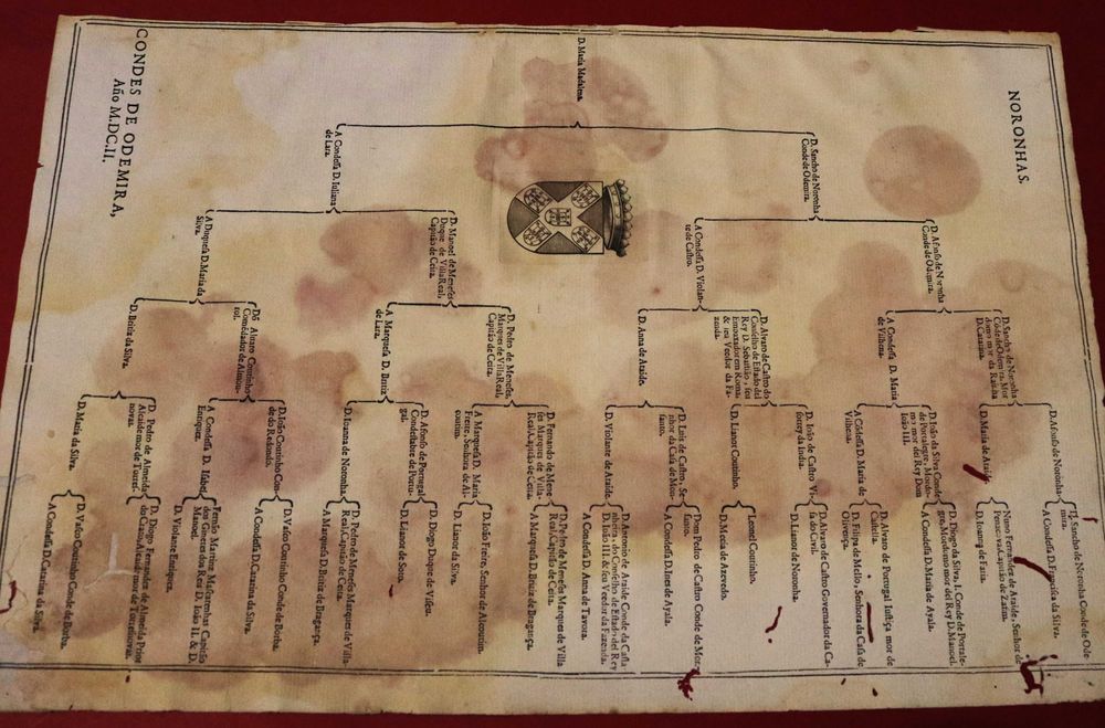 NORONHA S Condes de ODEMIRA árvore de costados 1602 rara