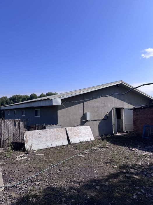 Продаж свиноферми 200м кв.