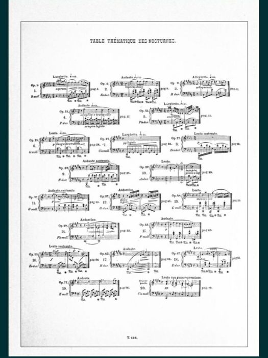 Ноты для Ф-но Шопен
Ноктюрны 
Вальсы
Содержание на фото. 
Состояние но