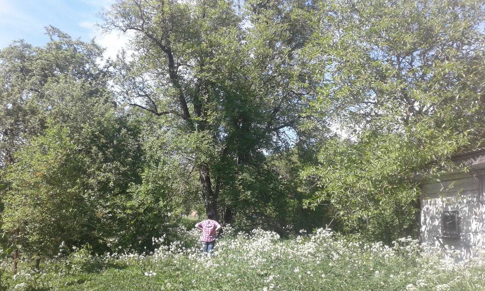 Земельна ділянка