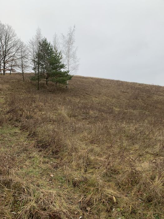 Земельна ділянка