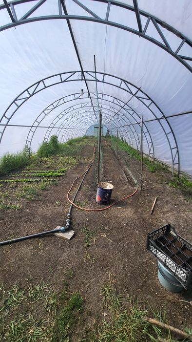 Земельна ділянка ОСГ, 2Га, теплиці , 70км Киев. обл.