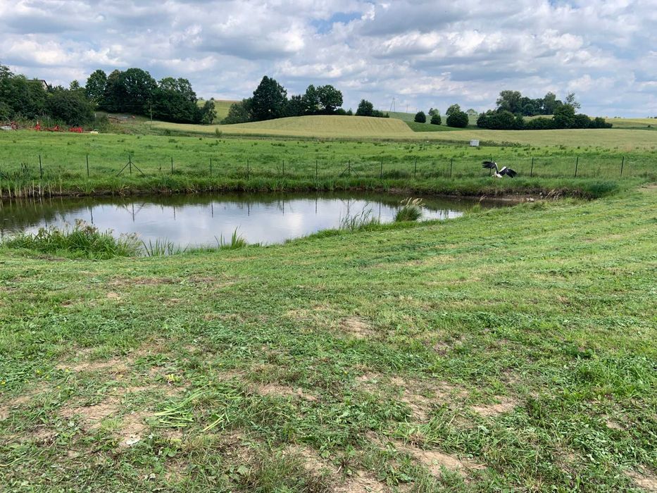 Domek nad Jeziorem Wigry_WOLNE TERMINY